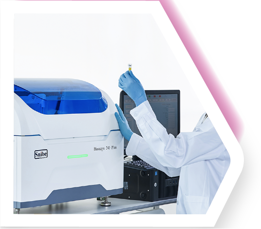 Presentación de equipo